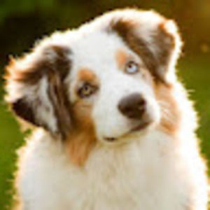 Meet your Posher, Chloee